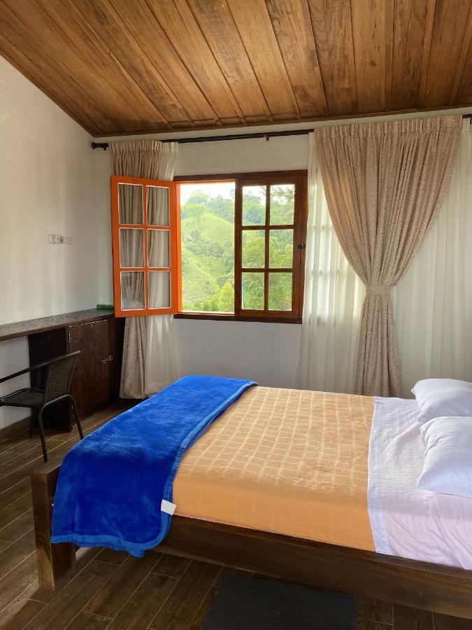 Ecohotel Entrebosques Salento Extérieur photo